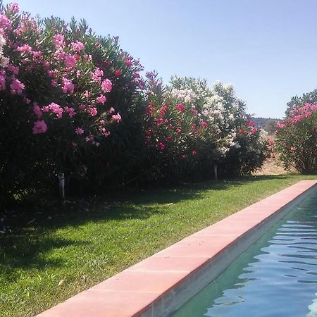 Mas Figueres Villa Marsá Esterno foto